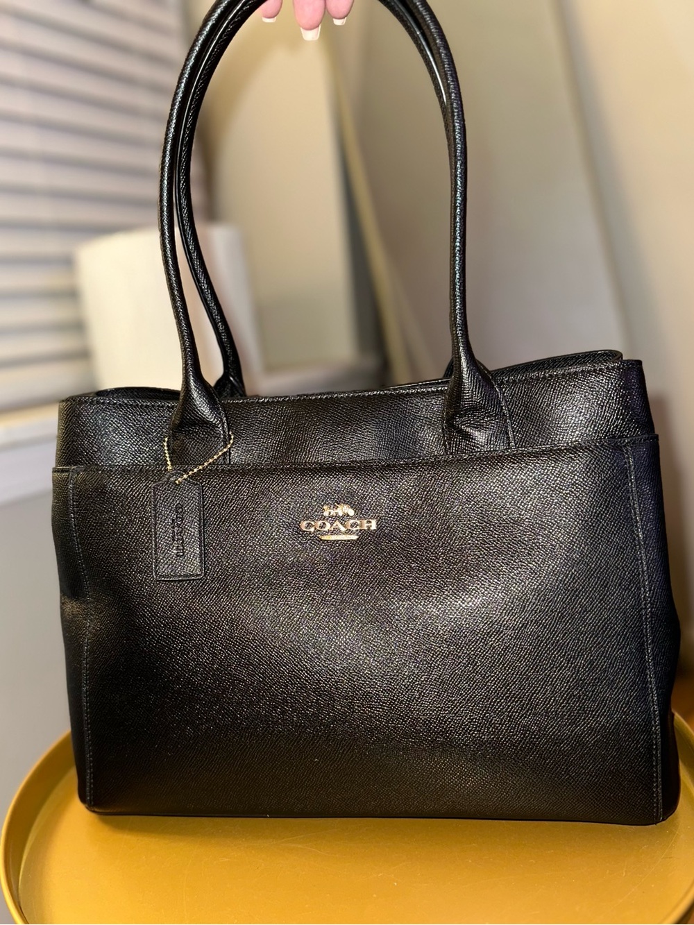 Coach Casey Tote -  F31474